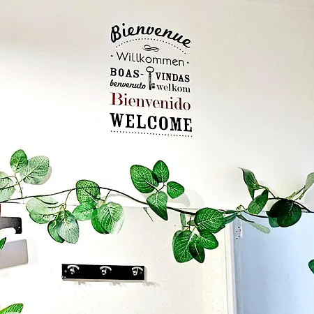 Apartmán Centre - Ideal Vacance Et Congres